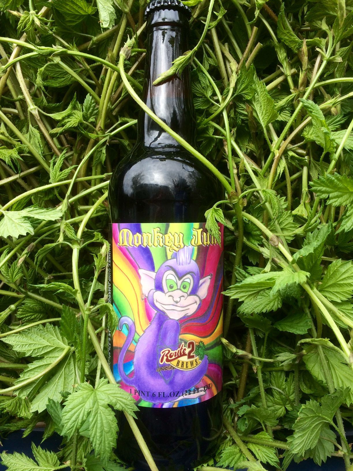 50 Craft Beers of the South Shore: Route 2 Brews' Munkey Junk